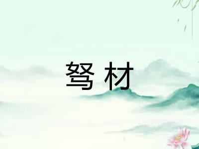 驽材