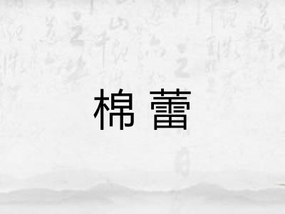 棉蕾