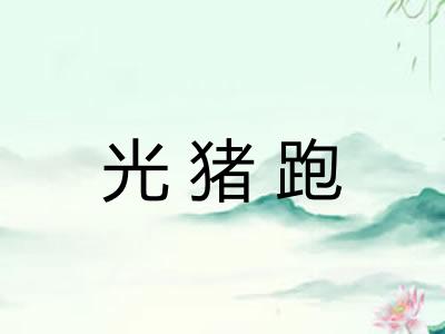 光猪跑