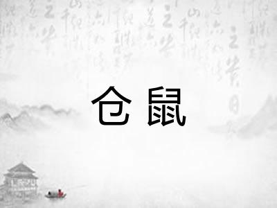 仓鼠