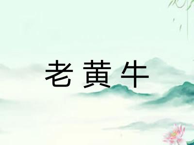 老黄牛