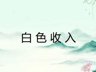 白色收入