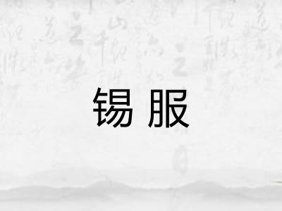 锡服
