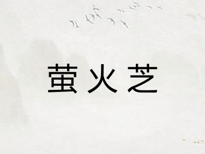 萤火芝