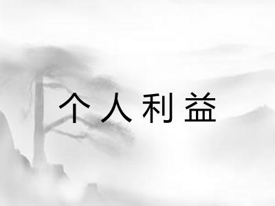 个人利益