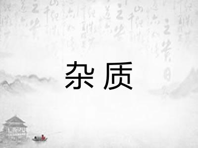 杂质