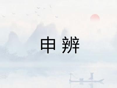 申辨