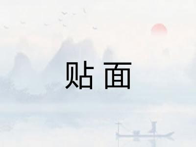 贴面