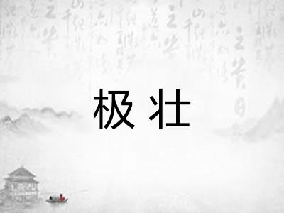 极壮