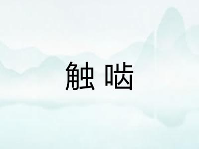 触啮