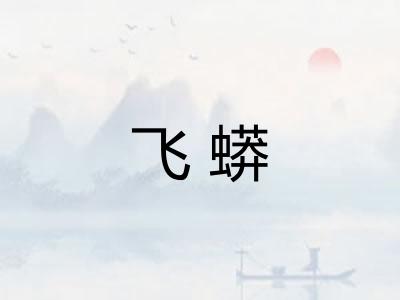飞蟒