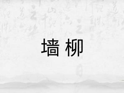 墙柳