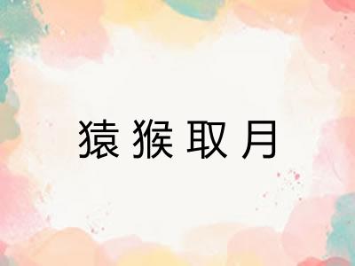 猿猴取月