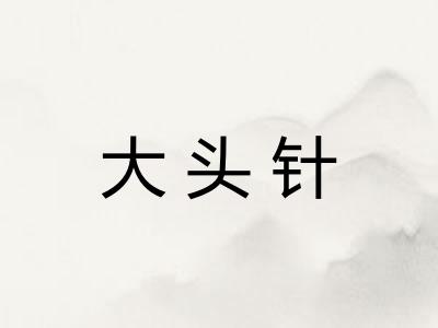 大头针