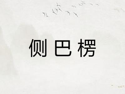 侧巴楞