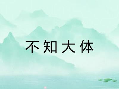 不知大体