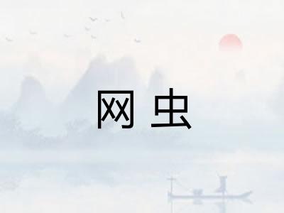 网虫