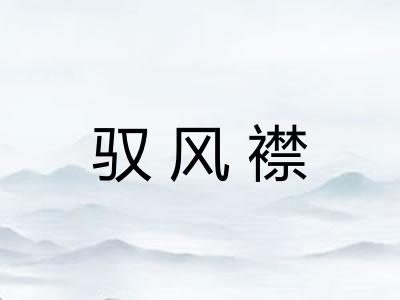 驭风襟