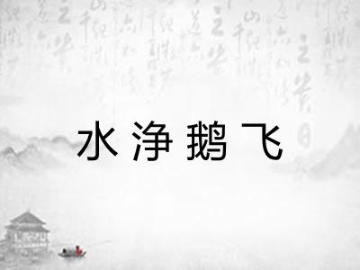 水浄鹅飞