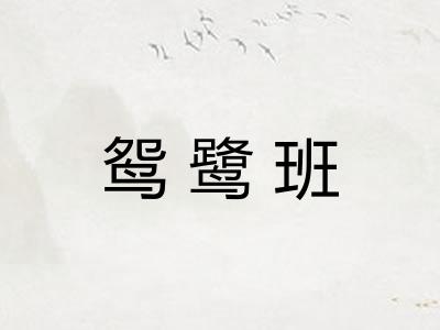鸳鹭班