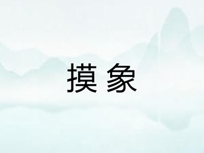 摸象