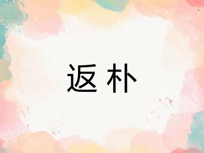 返朴