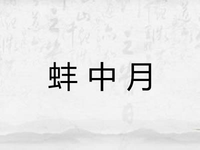蚌中月
