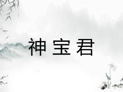 神宝君
