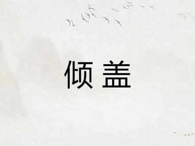 倾盖
