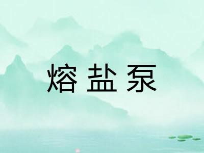 熔盐泵