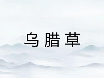 乌腊草