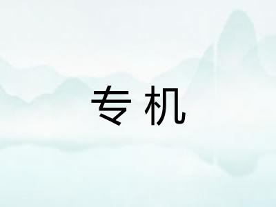 专机