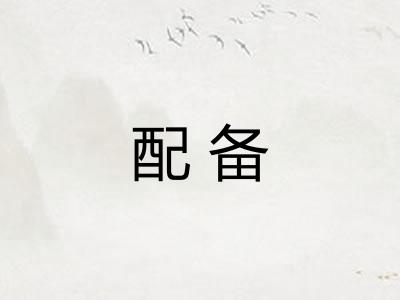 配备