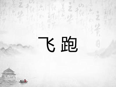 飞跑