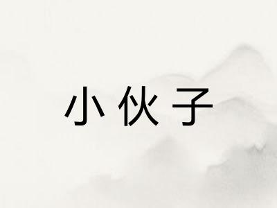 小伙子