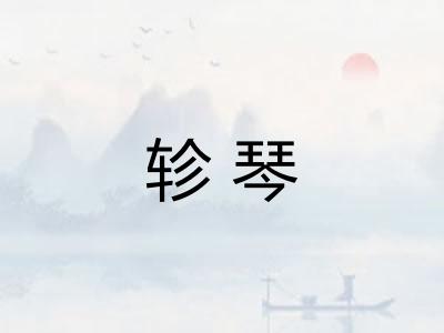 轸琴