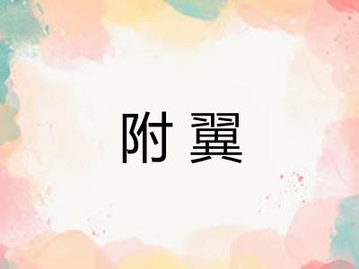 附翼