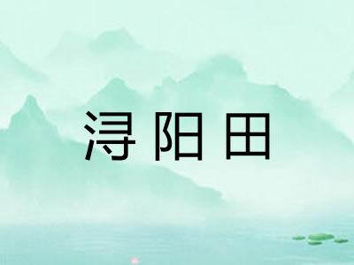 浔阳田