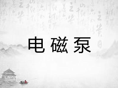 电磁泵
