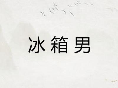 冰箱男