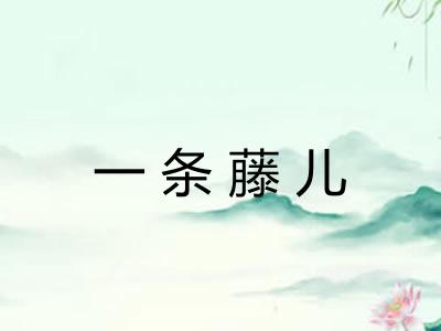 一条藤儿