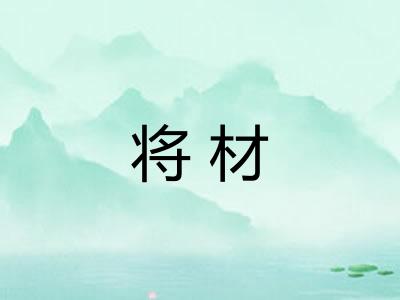 将材
