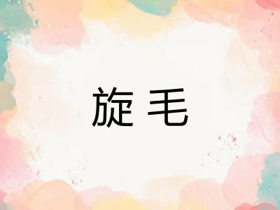 旋毛