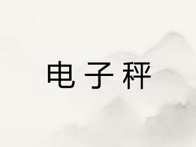 电子秤