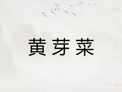 黄芽菜