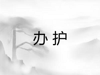 办护