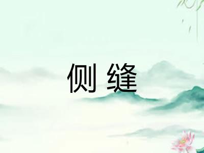 侧缝
