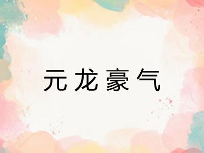 元龙豪气