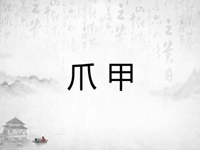 爪甲