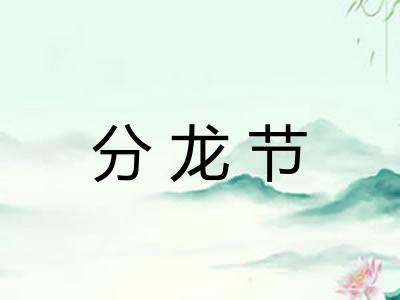 分龙节